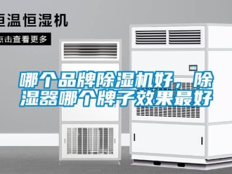 企業新聞哪個品牌除濕機好，除濕器哪個牌子效果最好