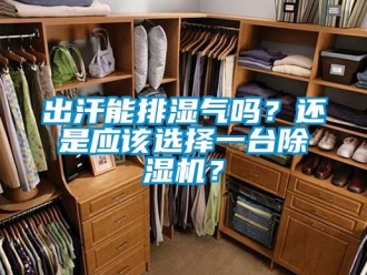 常見問題出汗能排濕氣嗎？還是應該選擇一臺除濕機？