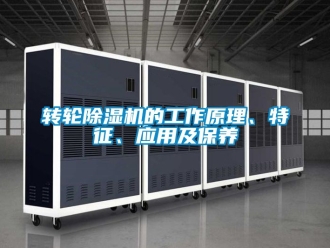 常見問題轉輪除濕機的工作原理、特征、應用及保養