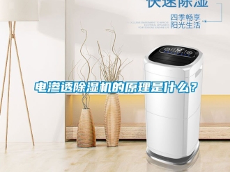 行業新聞電滲透除濕機的原理是什么？