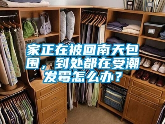 常見問題家正在被回南天包圍，到處都在受潮發霉怎么辦？