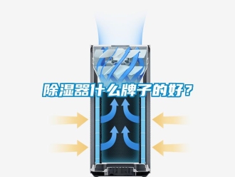 行業新聞除濕器什么牌子的好？