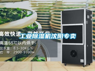 常見問題工業除濕機沈陽專賣
