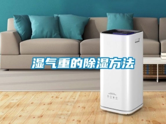 企業新聞濕氣重的除濕方法