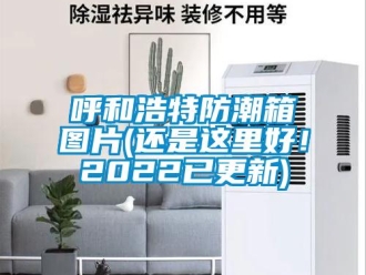 常見問題呼和浩特防潮箱圖片(還是這里好！2022已更新)