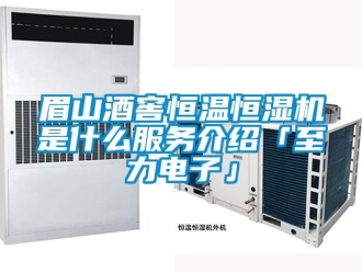 知識百科眉山酒窖恒溫恒濕機是什么服務介紹「至力電子」