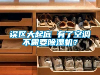 行業新聞誤區大起底 有了空調不需要除濕機？