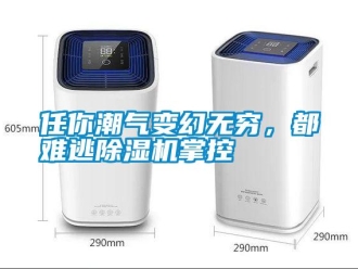行業新聞任你潮氣變幻無窮，都難逃除濕機掌控