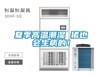 知識百科夏季高溫潮濕 豬也會生病的！