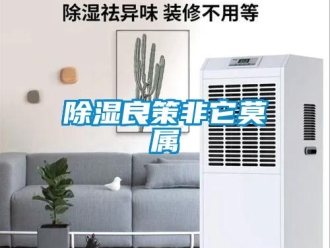 企業新聞除濕良策非它莫屬
