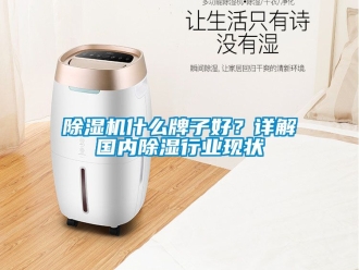 行業新聞除濕機什么牌子好？詳解國內除濕行業現狀