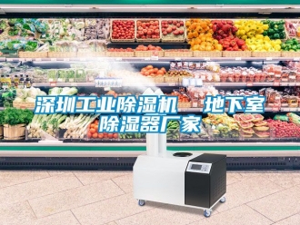 企業新聞深圳工業除濕機  地下室除濕器廠家