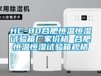 常見問題HC-80合肥恒溫恒濕試驗箱廠家價格 合肥恒溫恒濕試驗箱規格
