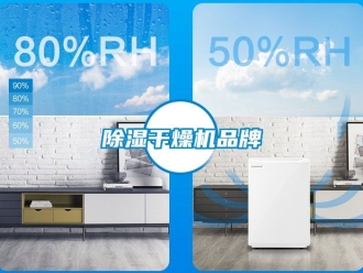 企業新聞除濕干燥機品牌