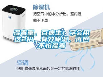 知識百科濕毒重，百病生！學會用這2招，有效除濕，再也不怕濕毒