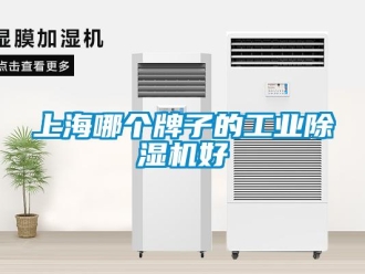 常見問題上海哪個牌子的工業除濕機好