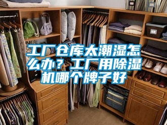 企業新聞工廠倉庫太潮濕怎么辦？工廠用除濕機哪個牌子好