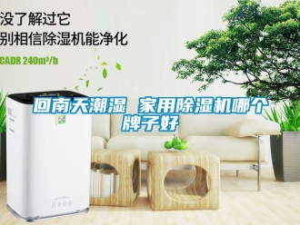 常見問題回南天潮濕 家用除濕機哪個牌子好