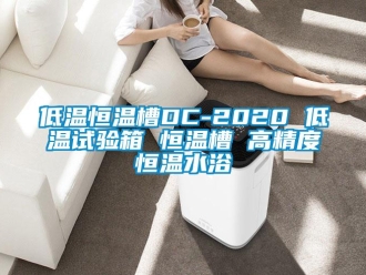 知識百科低溫恒溫槽DC-2020 低溫試驗箱 恒溫槽 高精度恒溫水浴