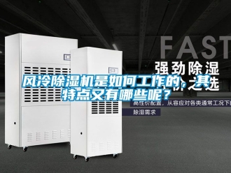 行業新聞風冷除濕機是如何工作的，其特點又有哪些呢？