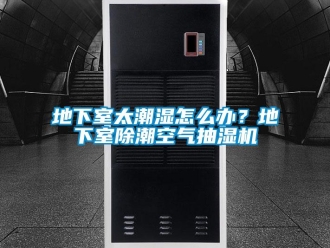 企業新聞地下室太潮濕怎么辦？地下室除潮空氣抽濕機