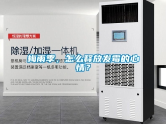 常見問題梅雨季，怎么釋放發霉的心情？