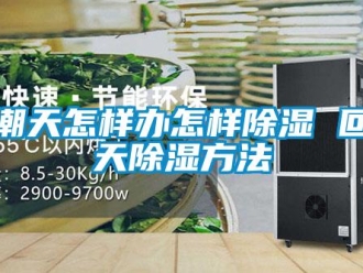 企業新聞回潮天怎樣辦怎樣除濕 回潮天除濕方法