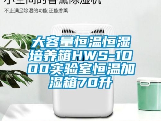 知識百科大容量恒溫恒濕培養箱HWS-1000實驗室恒溫加濕箱70升