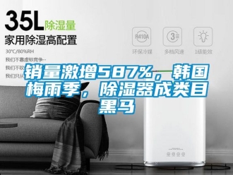 行業新聞銷量激增587%，韓國梅雨季，除濕器成類目黑馬