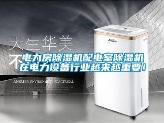 企業新聞電力房除濕機配電室除濕機在電力設備行業越來越重要！