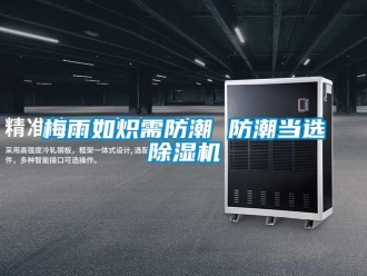 行業新聞梅雨如熾需防潮 防潮當選除濕機