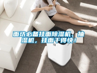 行業新聞面坊必備掛面除濕機、抽濕機，掛面干得快！