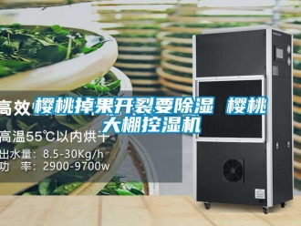知識百科櫻桃掉果開裂要除濕 櫻桃大棚控濕機