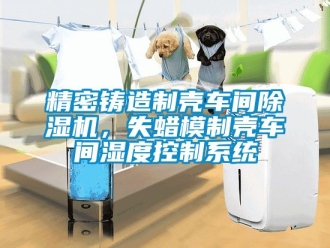 企業新聞精密鑄造制殼車間除濕機，失蠟模制殼車間濕度控制系統
