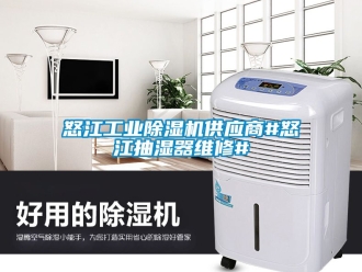 常見問題怒江工業除濕機供應商#怒江抽濕器維修#