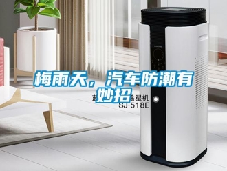 行業新聞梅雨天，汽車防潮有妙招