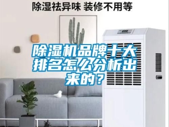 企業新聞除濕機品牌十大排名怎么分析出來的？