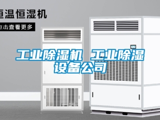 常見問題工業除濕機 工業除濕設備公司