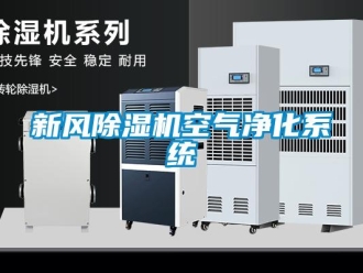 知識百科新風除濕機空氣凈化系統