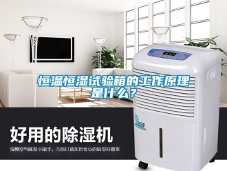 知識百科恒溫恒濕試驗箱的工作原理是什么？