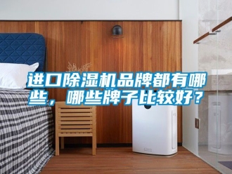 企業新聞進口除濕機品牌都有哪些，哪些牌子比較好？