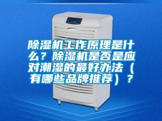 企業新聞除濕機工作原理是什么？除濕機是否是應對潮濕的最好辦法（有哪些品牌推薦）？