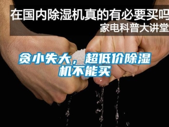 知識百科貪小失大，超低價除濕機不能買