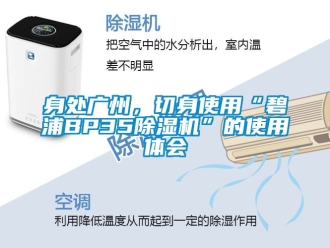 行業新聞身處廣州，切身使用“碧浦BP35除濕機”的使用體會