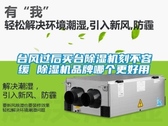企業新聞臺風過后買臺除濕機刻不容緩 除濕機品牌哪個更好用