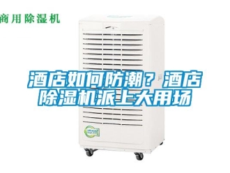 常見問題酒店如何防潮？酒店除濕機派上大用場