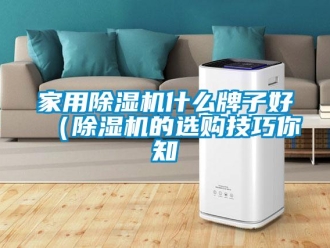常見問題家用除濕機什么牌子好（除濕機的選購技巧你知