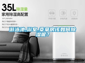 常見問題游泳池,浴室,桑拿房該如何除濕呢？
