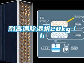 行業新聞耐高溫除濕機20kg／h