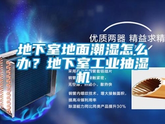 企業新聞地下室地面潮濕怎么辦？地下室工業抽濕機